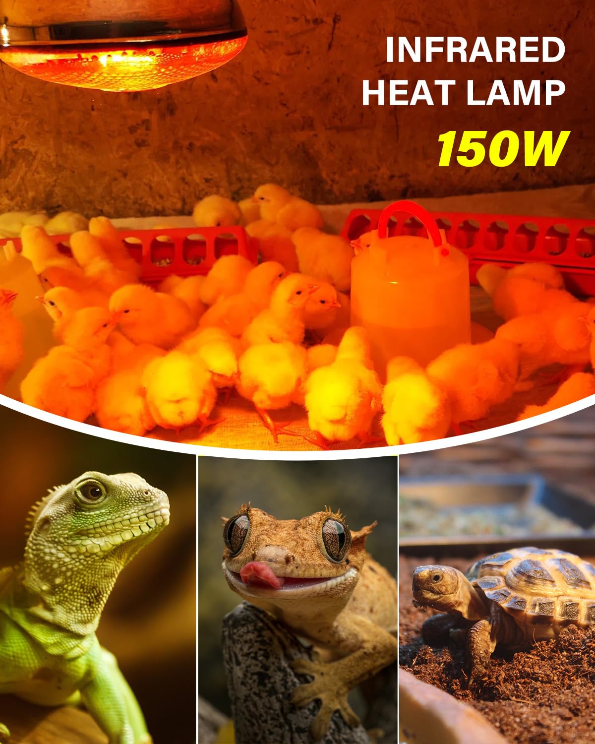 TobeBright Heat Lamp Bulbs for Chickens Coop Brooder with Plug in Cord,On/Off Switch,150 Watt E26 Reptile Heat Lamp Bulb Infrared Red Light for Chicks,Birds,Ducks,Dogs,Cats