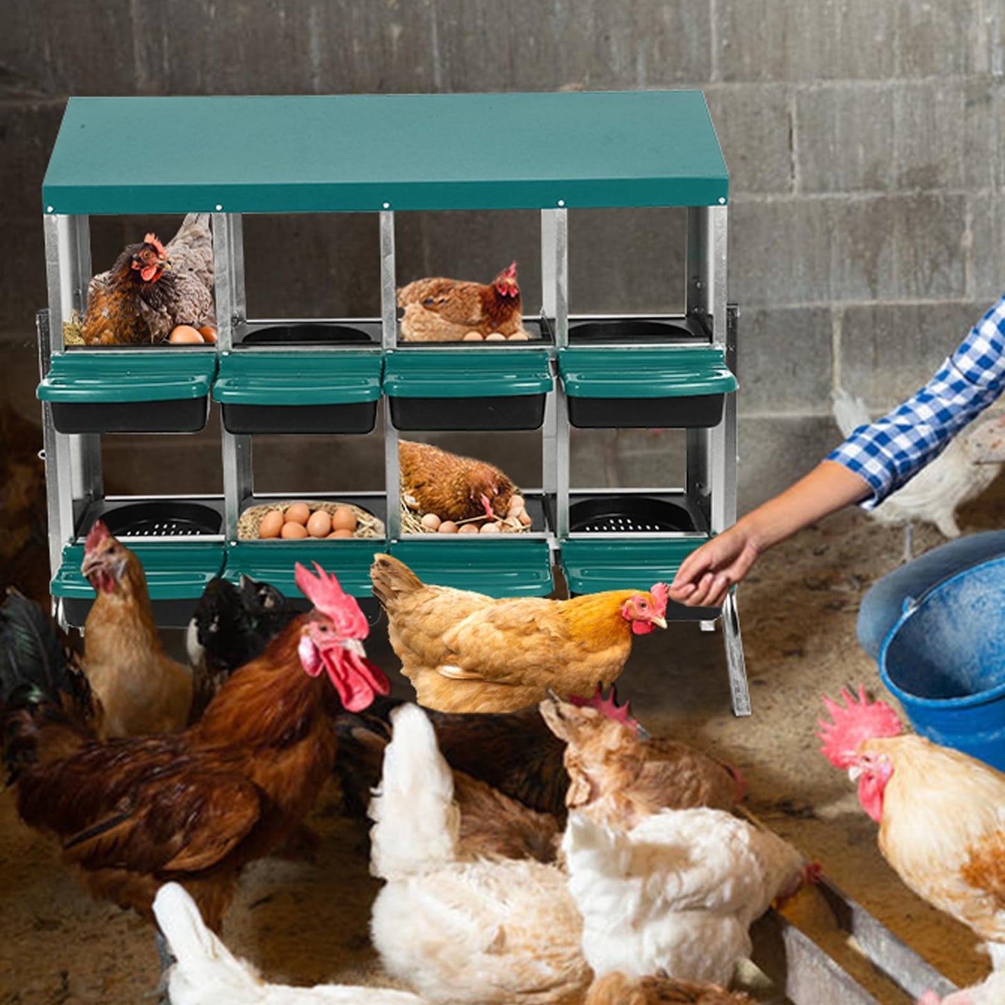 Chicken Nesting Boxes, 8 Compartments Nesting Box for Chickens Egg Laying, Chicken Laying Boxes with Roll Out Egg Collection, Vented Holes for Outdoor Chicken Coop, Green, with Legs