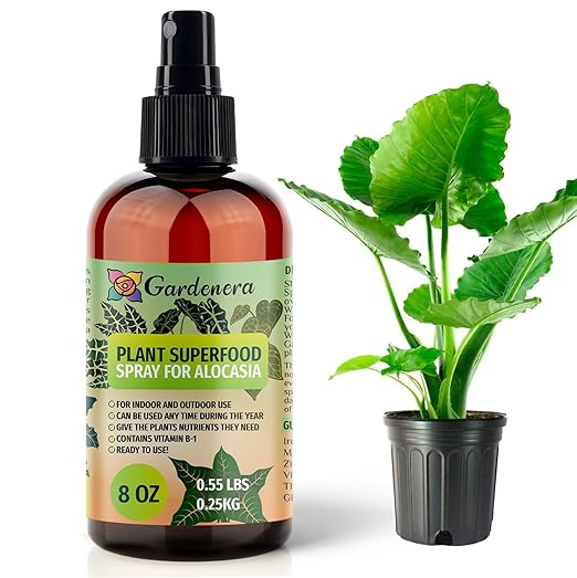 𝐁𝐄𝐒𝐓𝐒𝐄𝐋𝐋𝐄𝐑 Plant Superfood for ALOCASIA Plants with B1 Vitamin, Glucose and Essential Minerals - Organic Plant Food Fertilizer for Indoor & Outdoor ALOCASIA Plant Care - 8oz