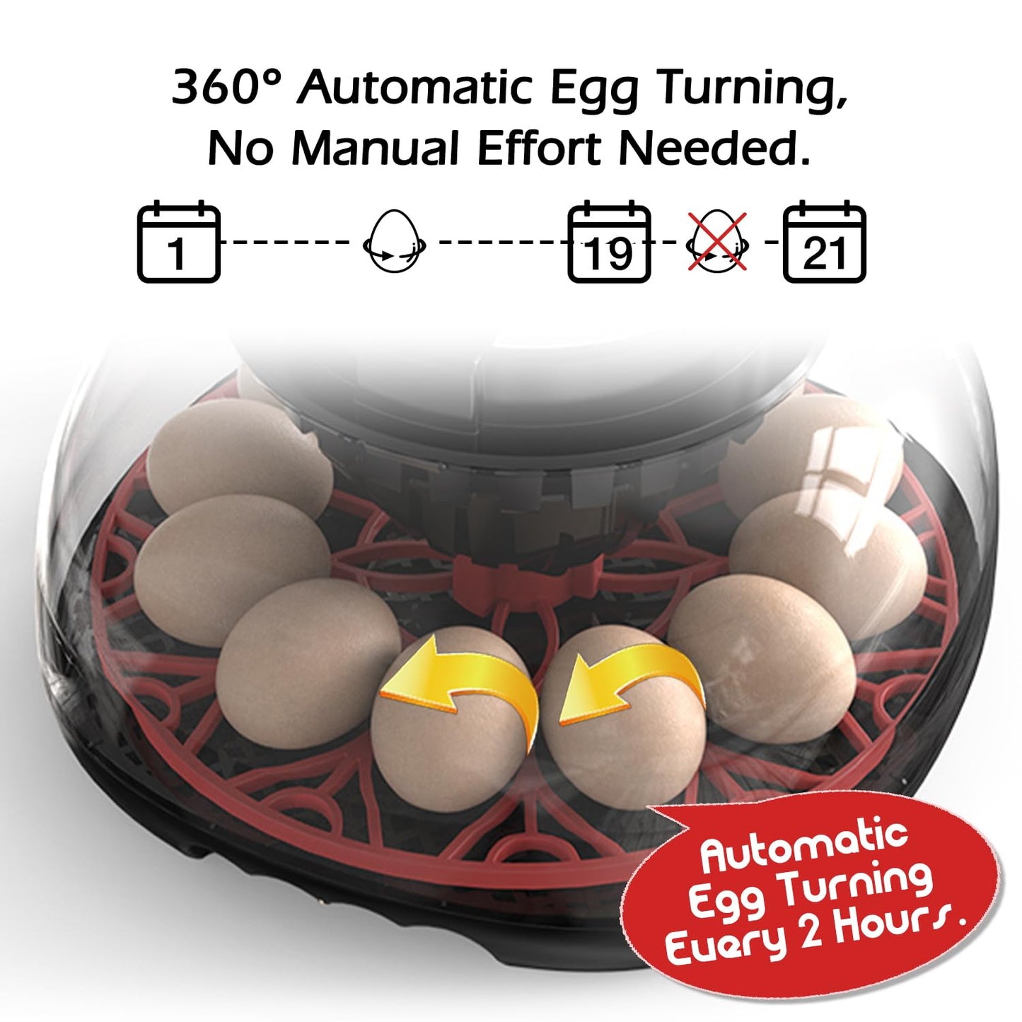 WYD2ANG Smart Chicken Incubators for Hatching Eggs with Automatic Turner Small Poultry Duck Quail 12 Egg Incubator Temperature Control Display Hatcher Machine (M12 Pro)