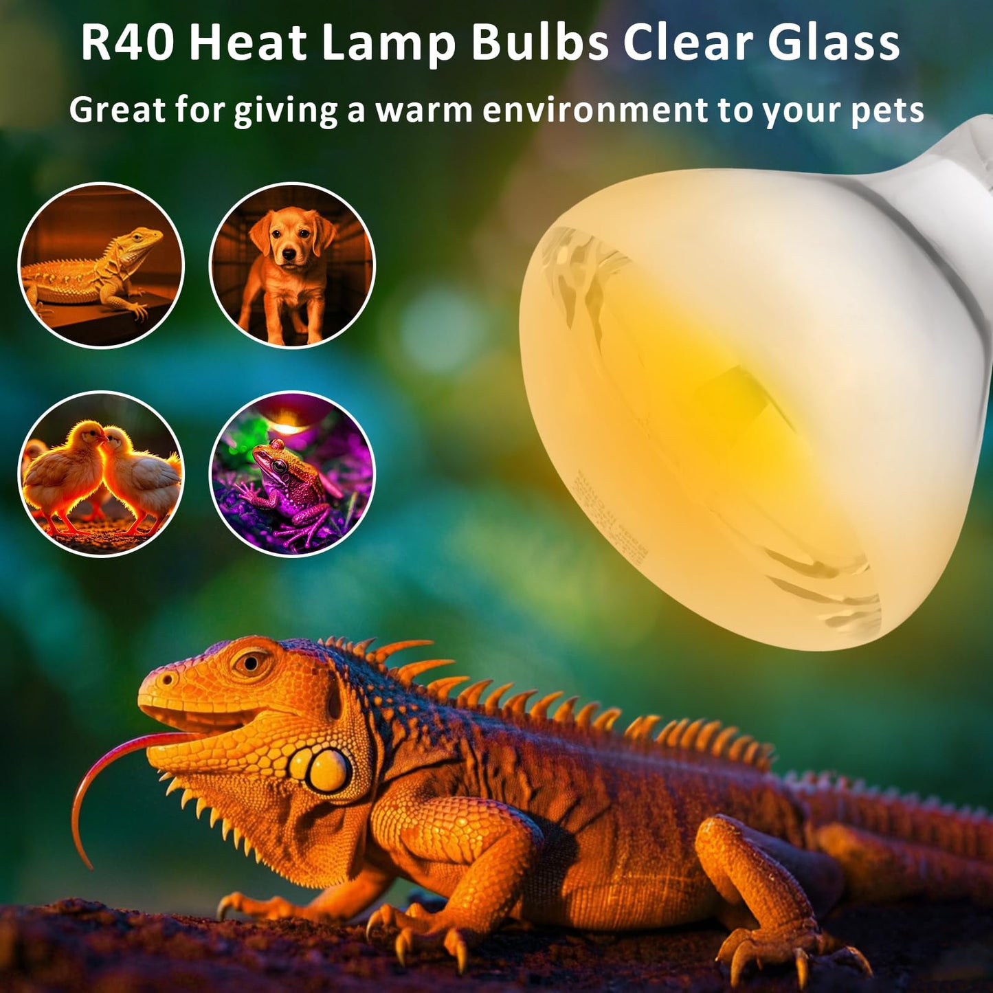 Aiicioo 250W R40 Clear Heat Lamp Bulb R40 Incandescent Heat lamp Bulb for Pets Flood Light Bulb for Chickens Clear Infrared Bath Light E26 Base 2 Pack