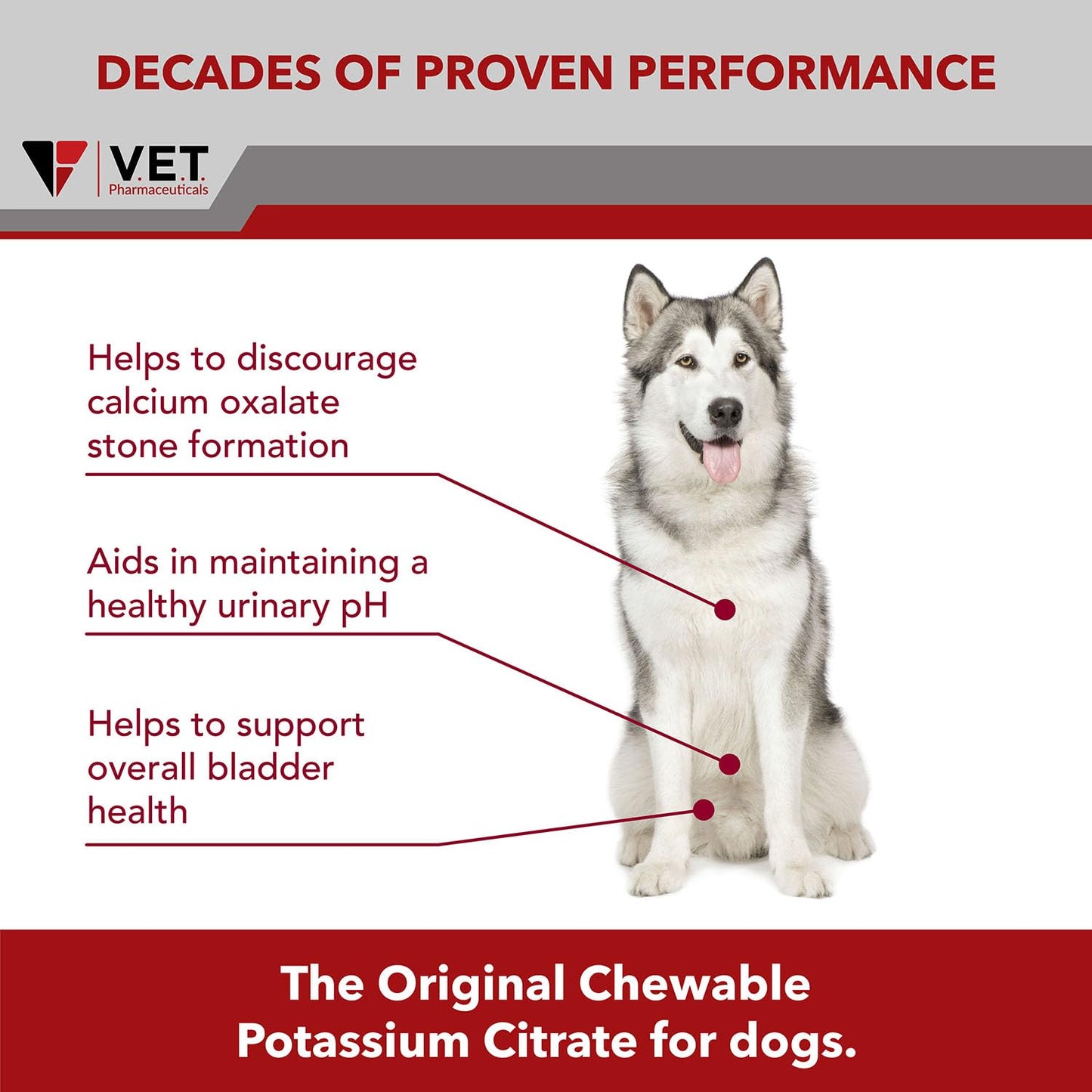 K-CIT-V Potassium Citrate Chewable Tablets for Dogs - 100 ct.