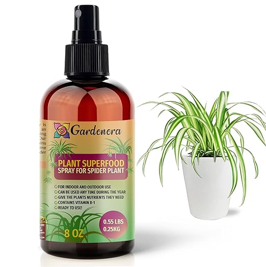 𝐁𝐄𝐒𝐓𝐒𝐄𝐋𝐋𝐄𝐑 Plant Superfood for Spider Plants with B1 Vitamin, Glucose and Essential Minerals - Organic Plant Food Fertilizer for Indoor & Outdoor Spider Plant Care - 8oz