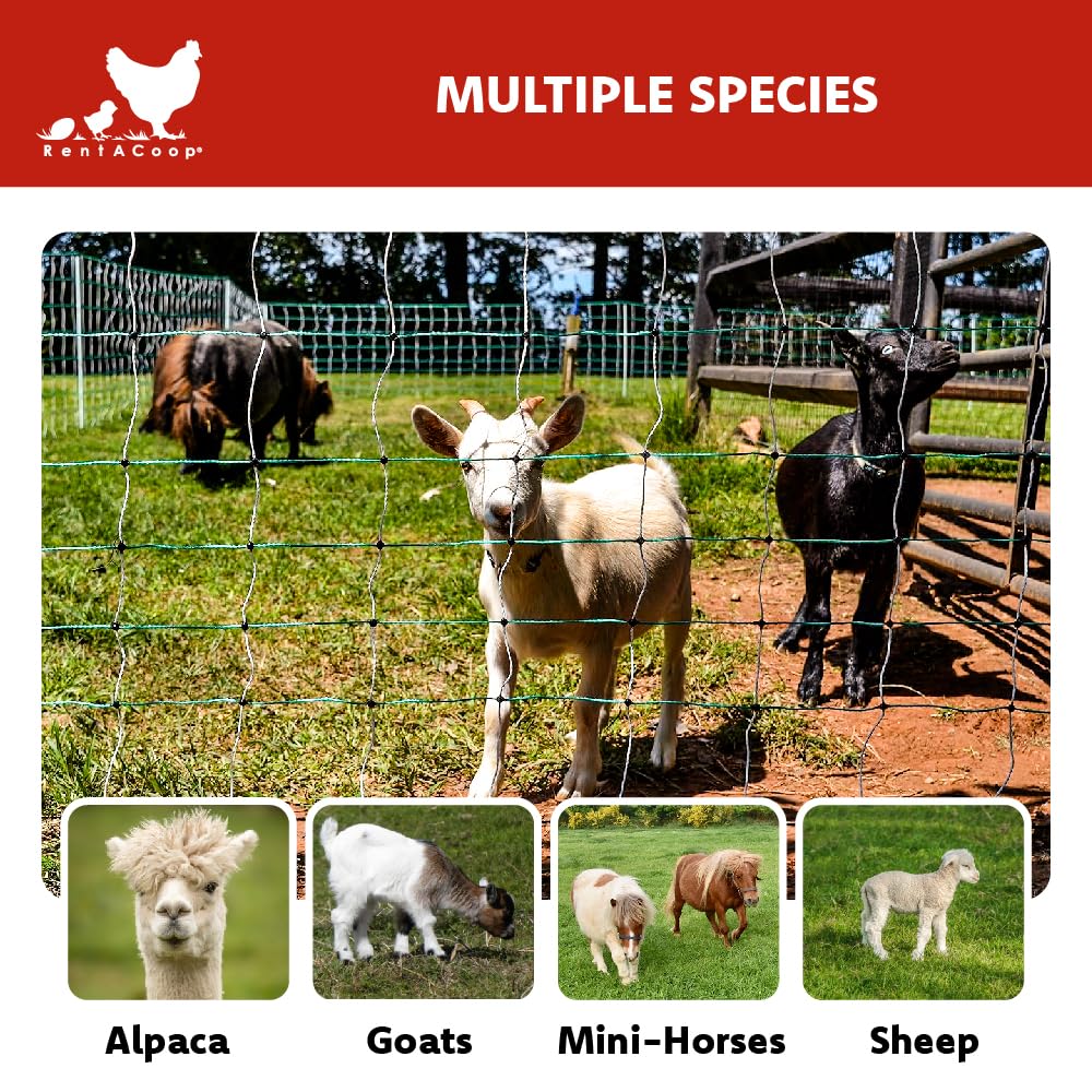 RentACoop Electric Anti-Predator Goat Fence - Suitable for Goats and Larger Animals - Energizer Not Included - 168' L x 42" H