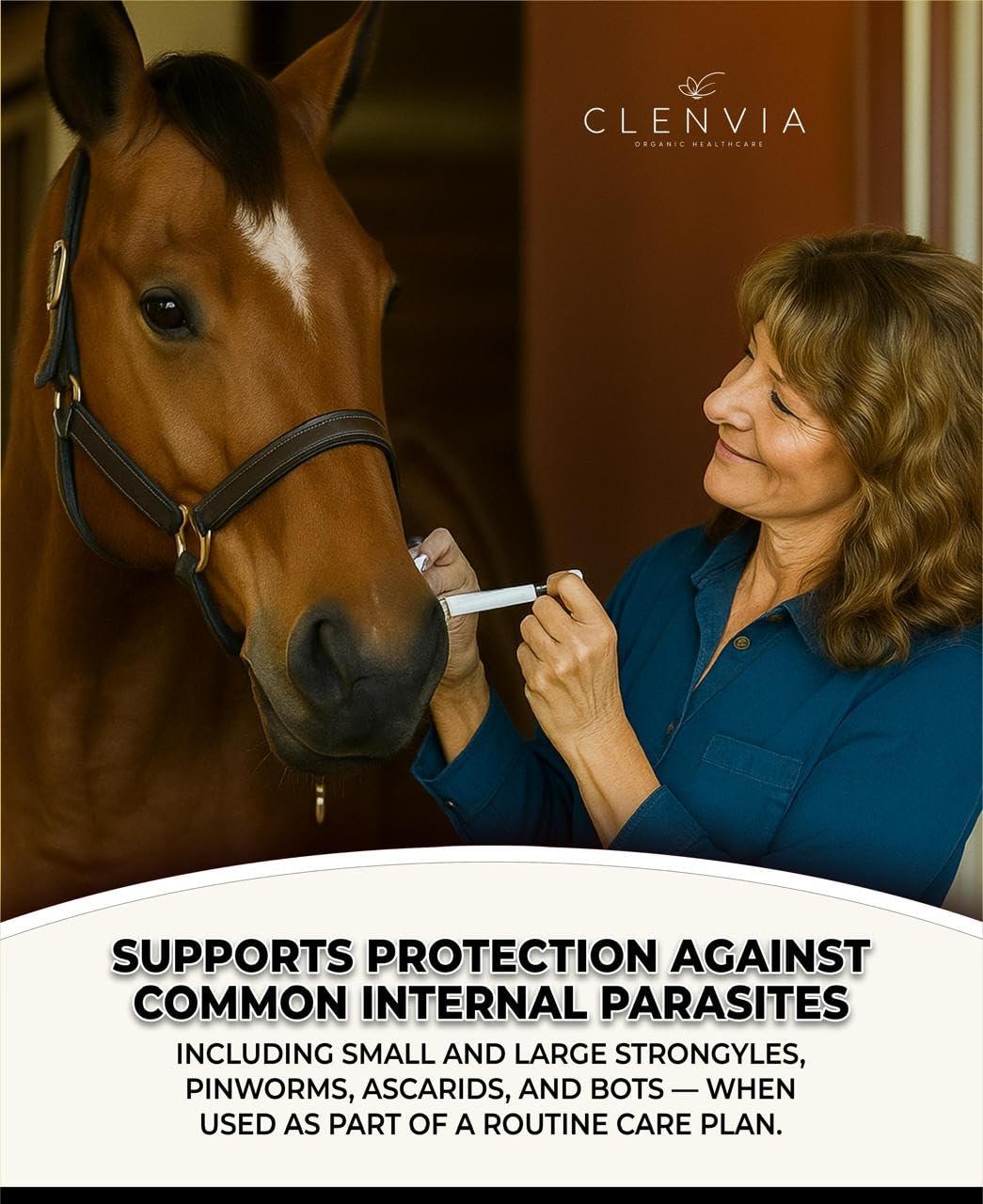 CLENVIA Horse Paste 1.87% – Apple Flavored Wormer – 6.08g Tube – Treats Up to 1250 lb (4 Pack)