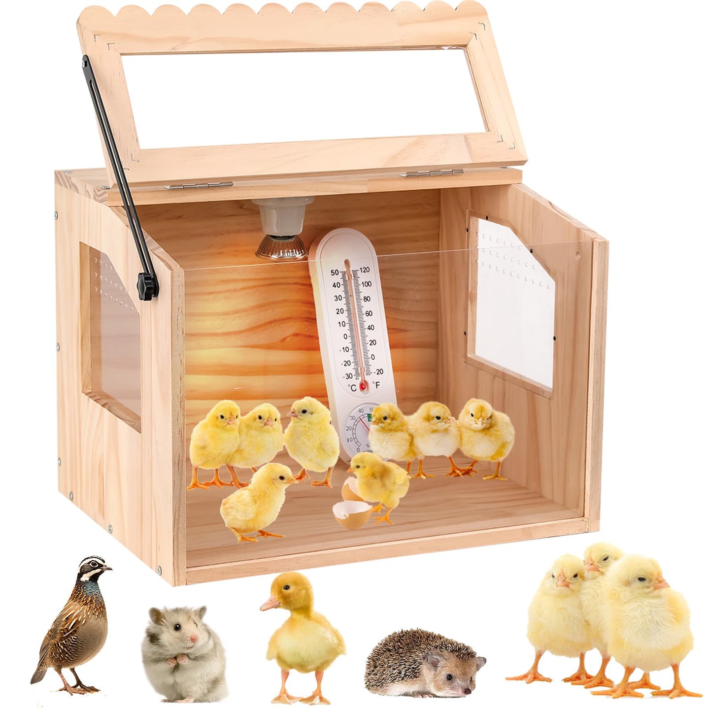 JOGEPEYO Chick Brooder Box, Brooder Box for Chicks, Pine,Quail Cage, Duck Brooder, Quail Cages, Ideal for Chicks, Ducks, Quails, Hamsters and Lizards,15.75'L x 11.8'W x 11.8'H