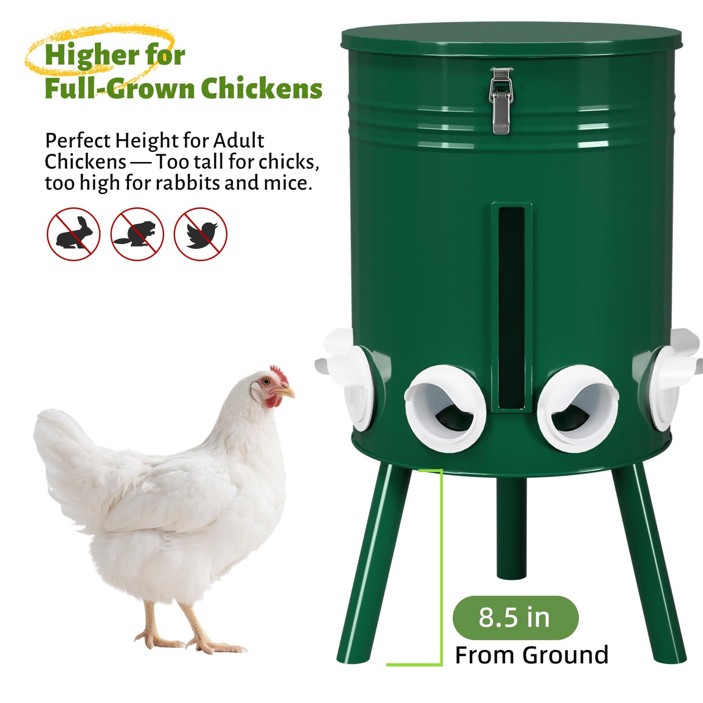 KOL 50 LB Large Free Standing Chicken Feeder, Portable Gravity Chicken Feeder Automatic, Dispenser, 8 Feeding Ports Poultry Feeder for Chicken Rooster & Hen (Green)