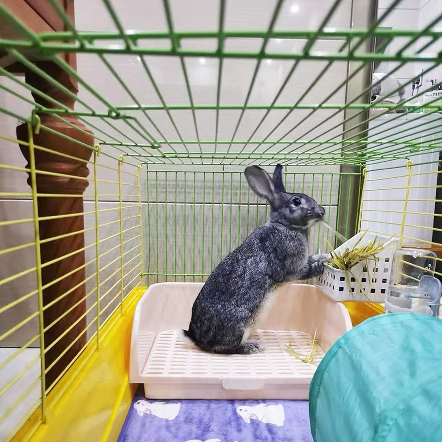 Tfwadmx Rabbit Hay Feeder Hay Rack Manager Holder Plastic Food Bowl Use for Grass Ideal for Bunny Guinea Pig