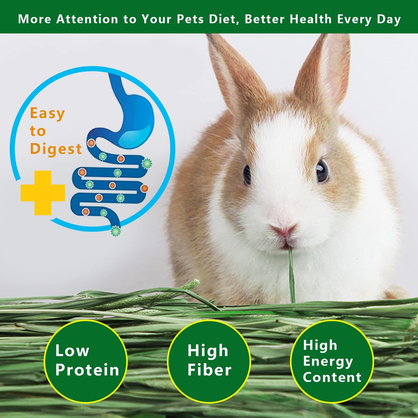 Ohcool Timothy Hay Premium Hay for Rabbits Guinea Pig Chinchilla- Natural Fresh Hay Hand Selected 6.6LBS (1.1lbs, 6 Pack)
