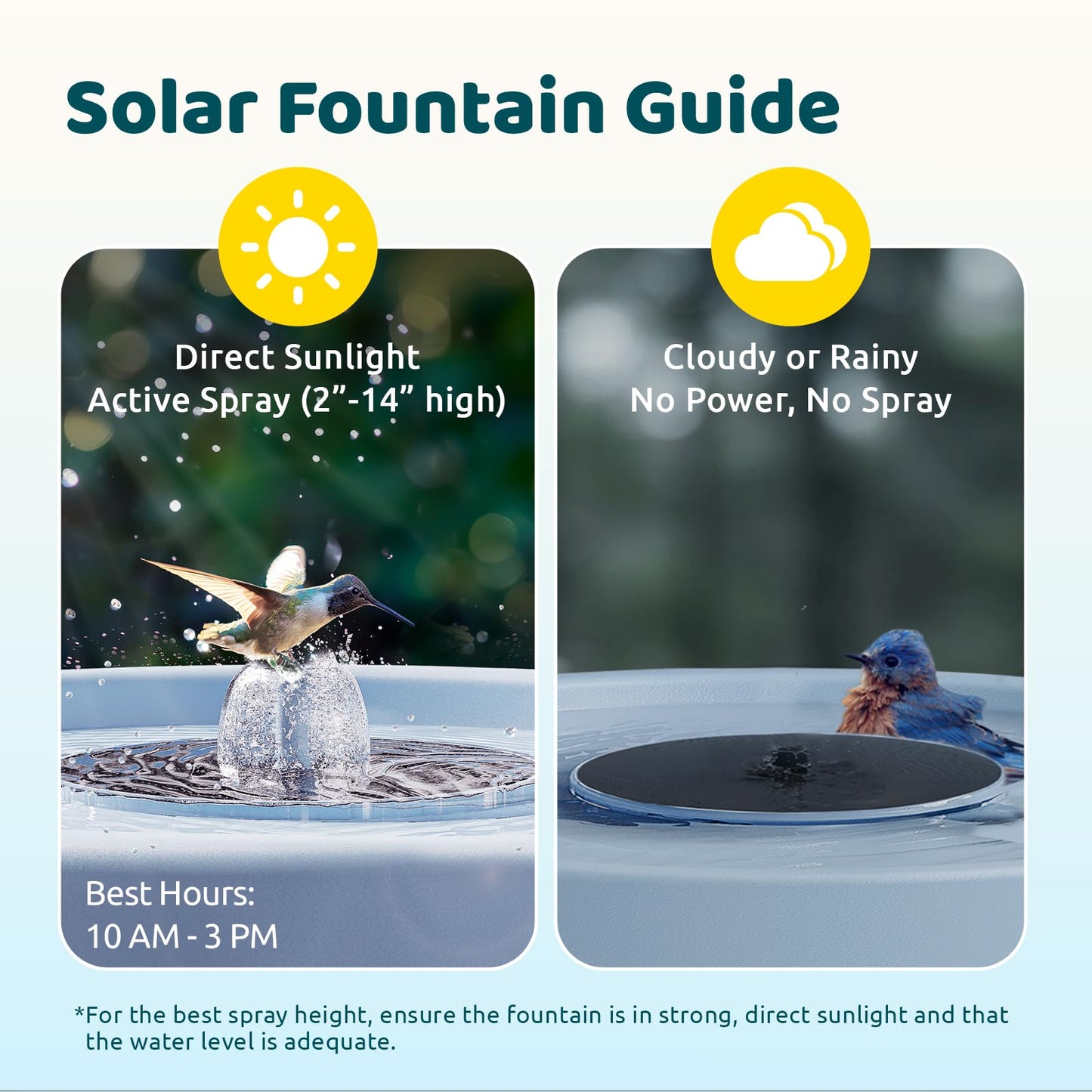 Birdfy Smart Bird Bath with Camera Solar Powered & Fountain & Stand, Dual-Lens Camera for Wildbird Watching, Auto Capture Bird Videos & Motion Detection (AI Lifetime)