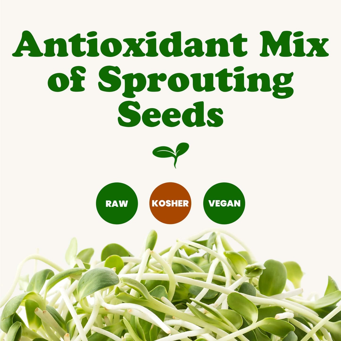 Food to Live - Antioxidant Mix of Sprouting Seeds, 10 Pounds — Broccoli, Clover, Alfalfa, Kosher, Raw, Vegan