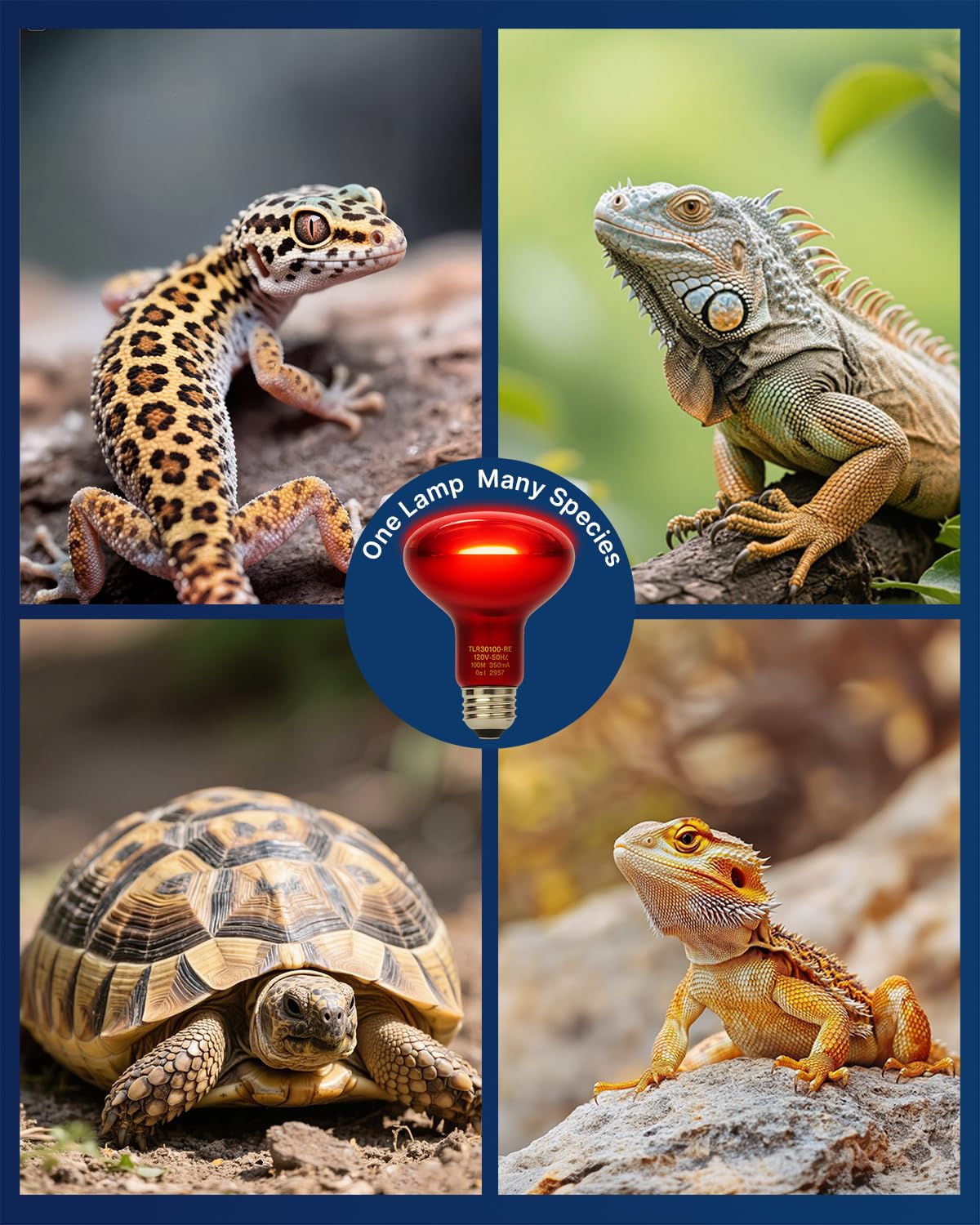 FLSNT 2 Pack Reptile Red Heat Lamp Bulbs,100W Infrared Basking Spot Light for Turtles, Leopard Gecko, Ball Python, Bearded Dragon, Chicken