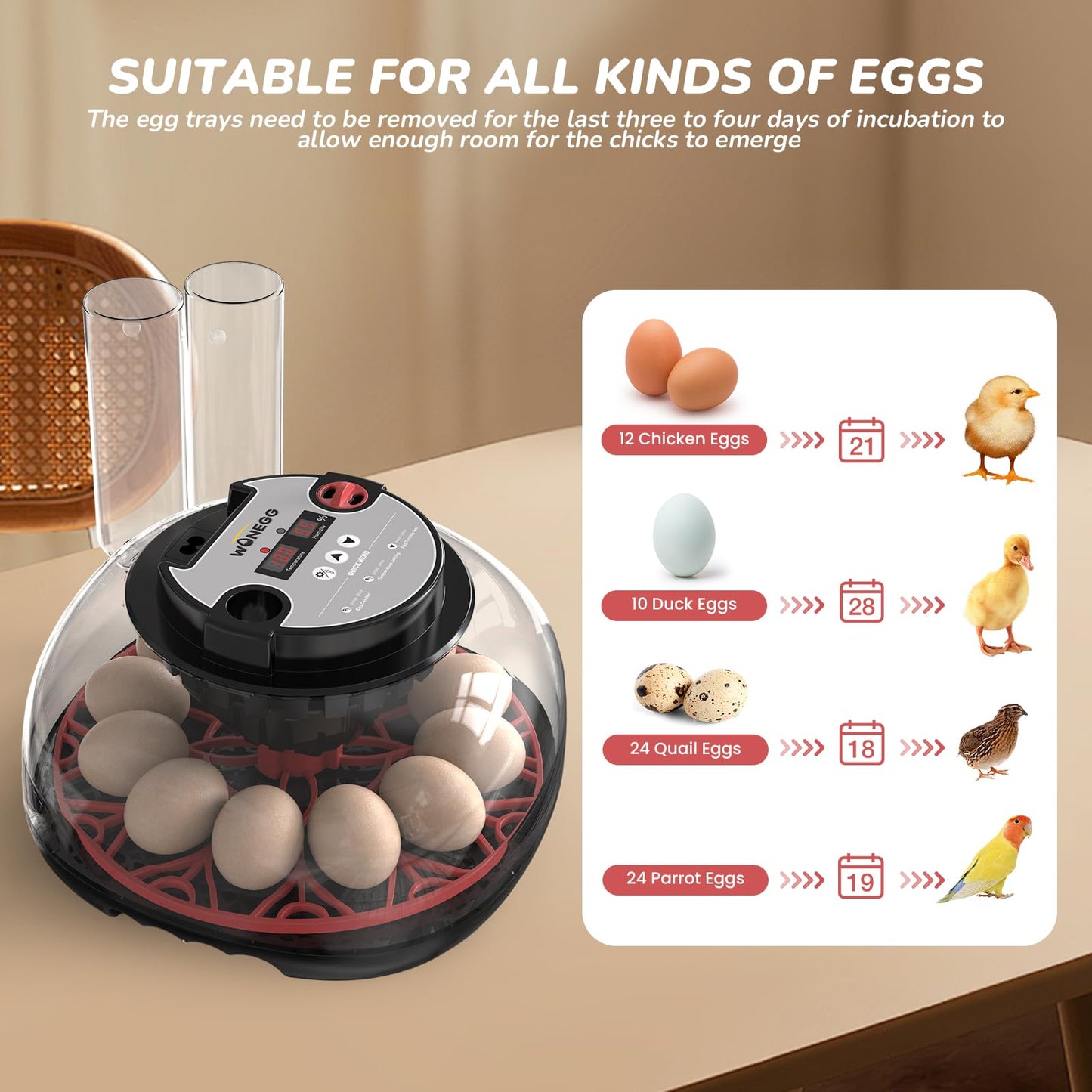 IKILEOGY 12 Egg Incubator for Hatching Chicken/Quail/Duck Eggs, Auto Turning, Digital Humidity/Temp Control, LED Candler, Auto Water Refill, 360° View (Smart Sensor)