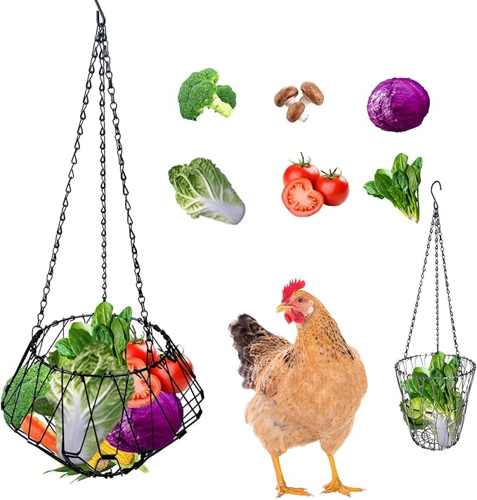Hanging Chicken Feeder Accessories, Coop Must Haves -Foldable 6.5Inch Large Poultry Vegetable Fruits Chicken Treat Dispenser with 3pcs Hanging Chain,Chicken Toys for coop (Chicken Feeder 1 Pack)