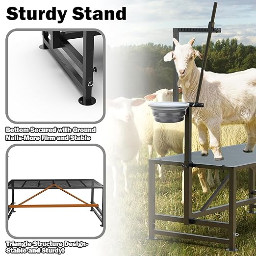600 Lbs Goat Milking Stand with Feed Bin, Livestock Stand for Sheep Trimming Hooves, Goat Stantion Metal Black with Adjustable Head Piece and Legs, Large Size