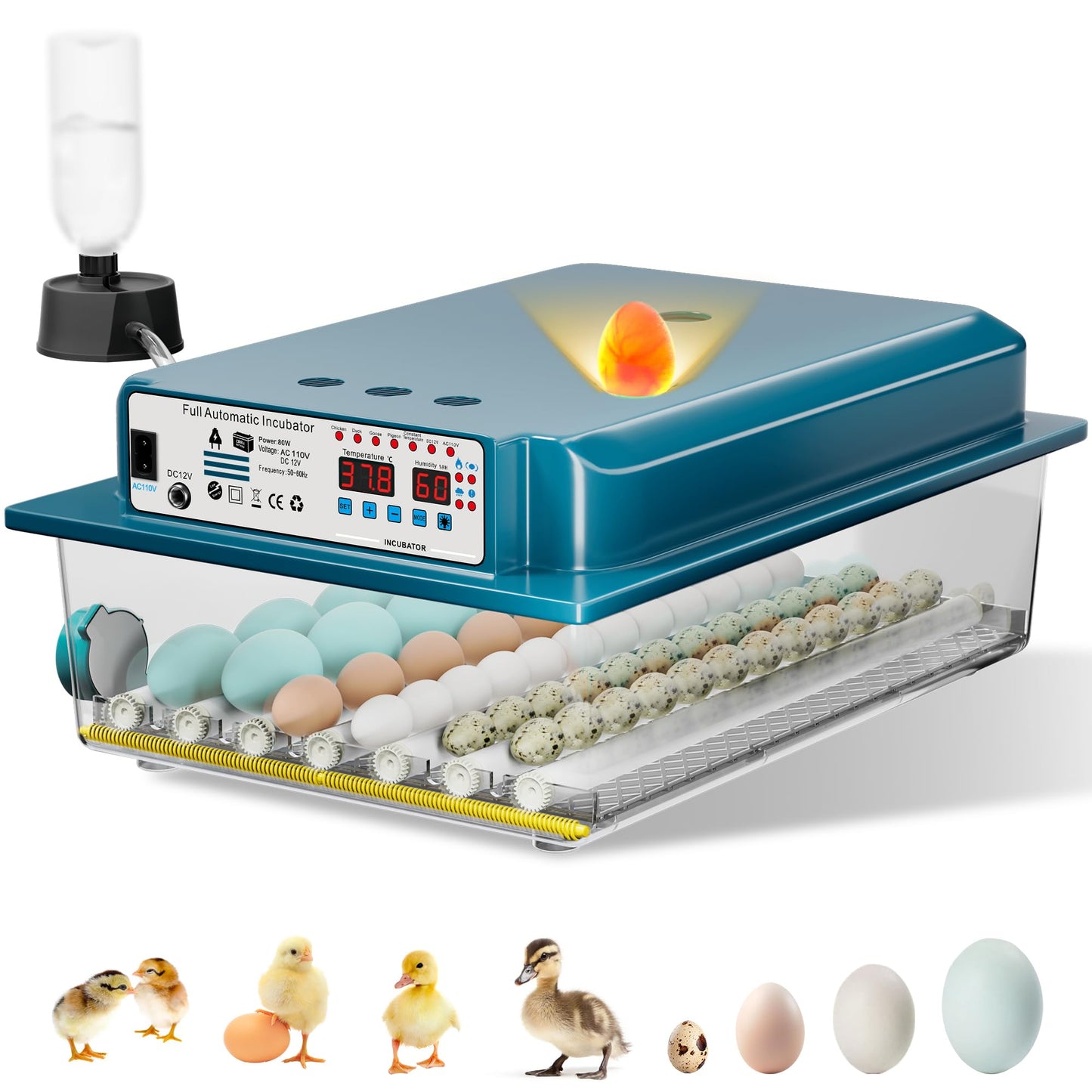 Loyfoly Incubators for Hatching Eggs, 36 Egg Incubator with Automatic Egg Turning and Humidity Control, Chicken, Duck, Goose, Bird, Quail, Incubator for Farm, Lab, Home（Blue）