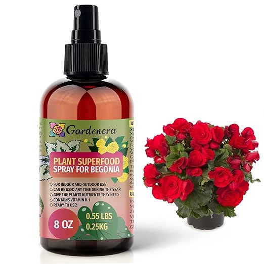 𝐁𝐄𝐒𝐓𝐒𝐄𝐋𝐋𝐄𝐑 Plant Superfood for Begonia Plants with B1 Vitamin, Glucose and Essential Minerals - Organic Plant Food Fertilizer for Indoor & Outdoor Begonia Plant Care - 8oz