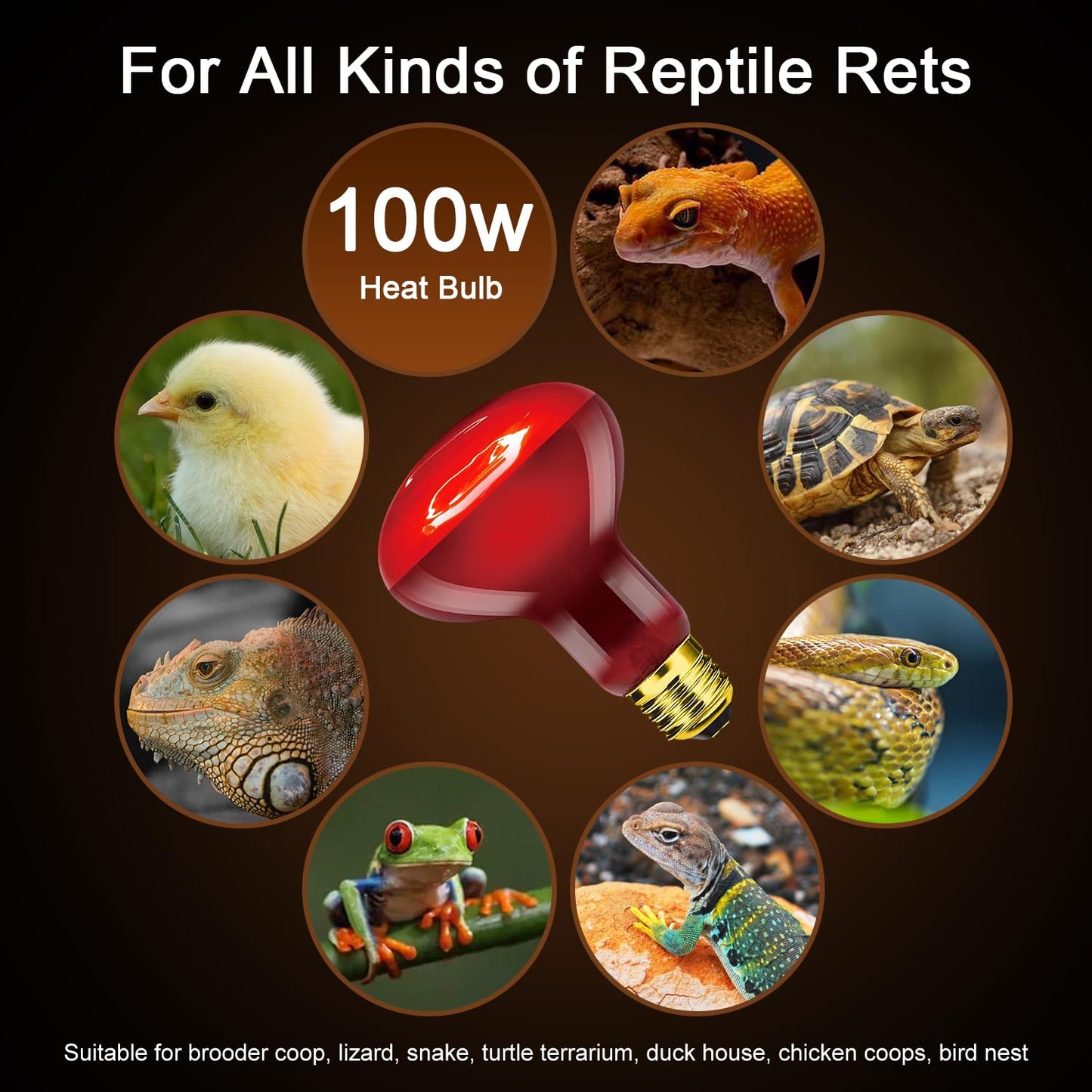 MISDOOD Reptile Heat Lamp Bulb 100W 2PCS, Infrared Heat Emitter Red Heat Lamp for Reptile Amphibian, Infrared Basking Spot Light Bulb