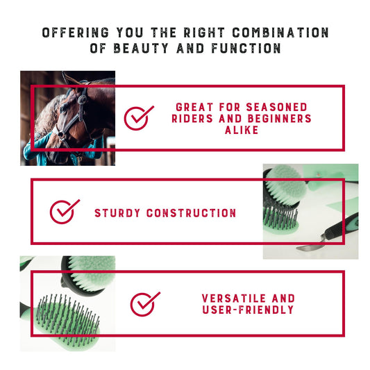 Weaver Equine 6-Piece Horse Grooming Kit, Ergonomic Gentle Horse Care Kit, Equestrian Supplies for Bathing Support, Detangling, and More, Mint/Gray