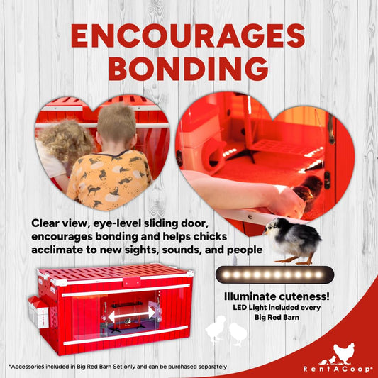 RentACoop Big Red Barn Chick Brooder with Absorbent Hatchling Liners, Jute Liner, LED Light, Security Latch
