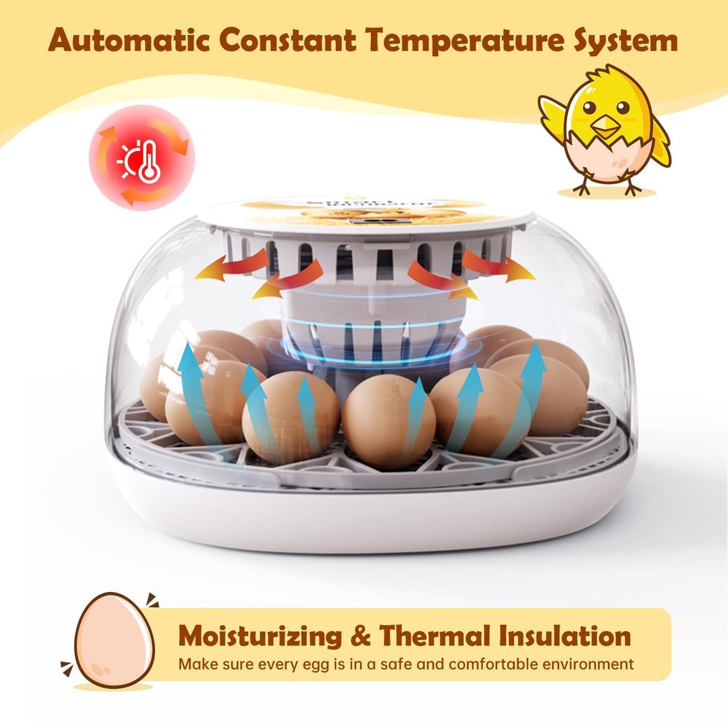 Egg Incubator for Hatching Chicks, Automatic Egg Turner Holds 12 Eggs, Smart Incubator 360° Clear Window with Temperature Display Egg Candler for Small Poultry Chickens Ducks Quails Eggs