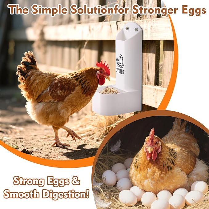 Hanging Chicken Oyster Shell and Grit Feeder Combo - Automatic Gravity Feed Dispenser, No Waste Design for Poultry Supplies, Baby Chicks, Ducks, and Quail | Chicken Coop Accessory and Feed Kit