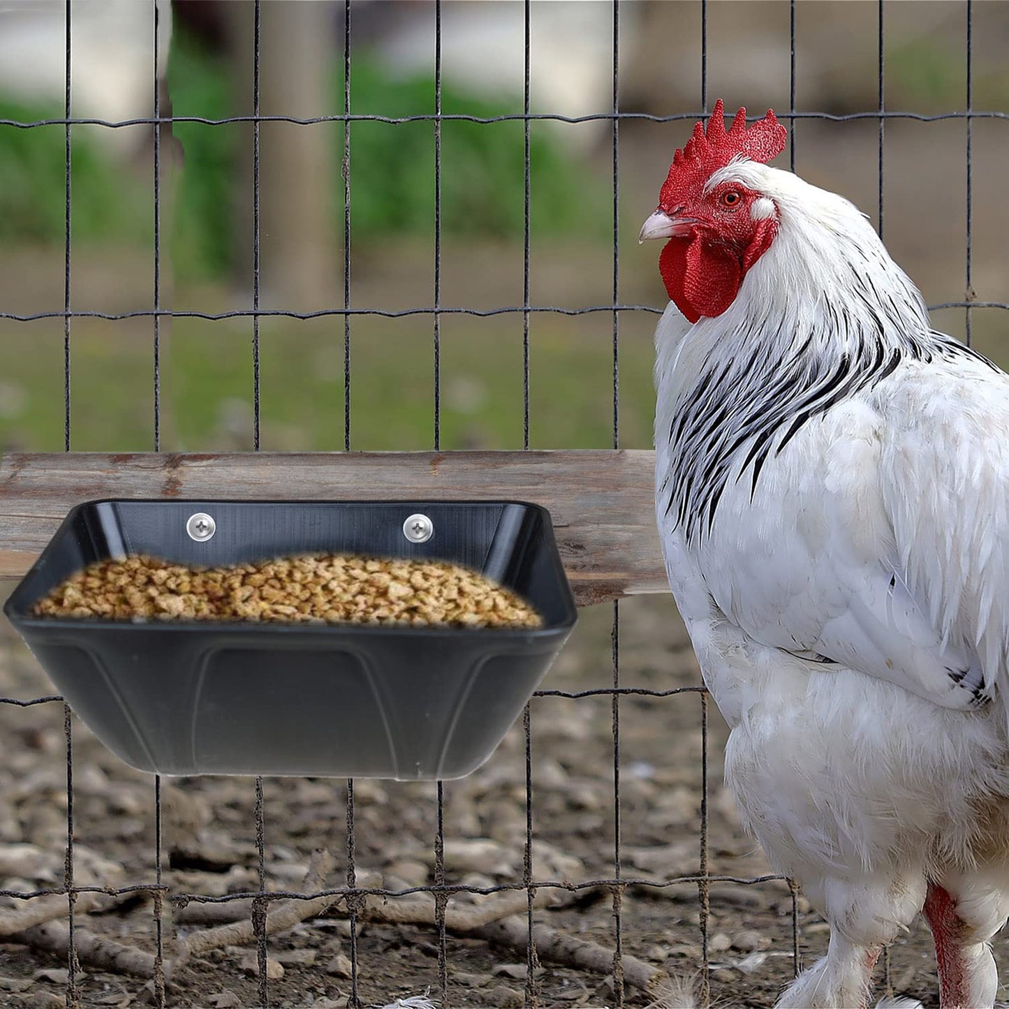 ATKSKYO Hanging Fence Feeder for Chicken, Duck, Goat, Pig Poultry Feed Trough Chicken Feeder Bucket Feeding Container for Livestock (Black)