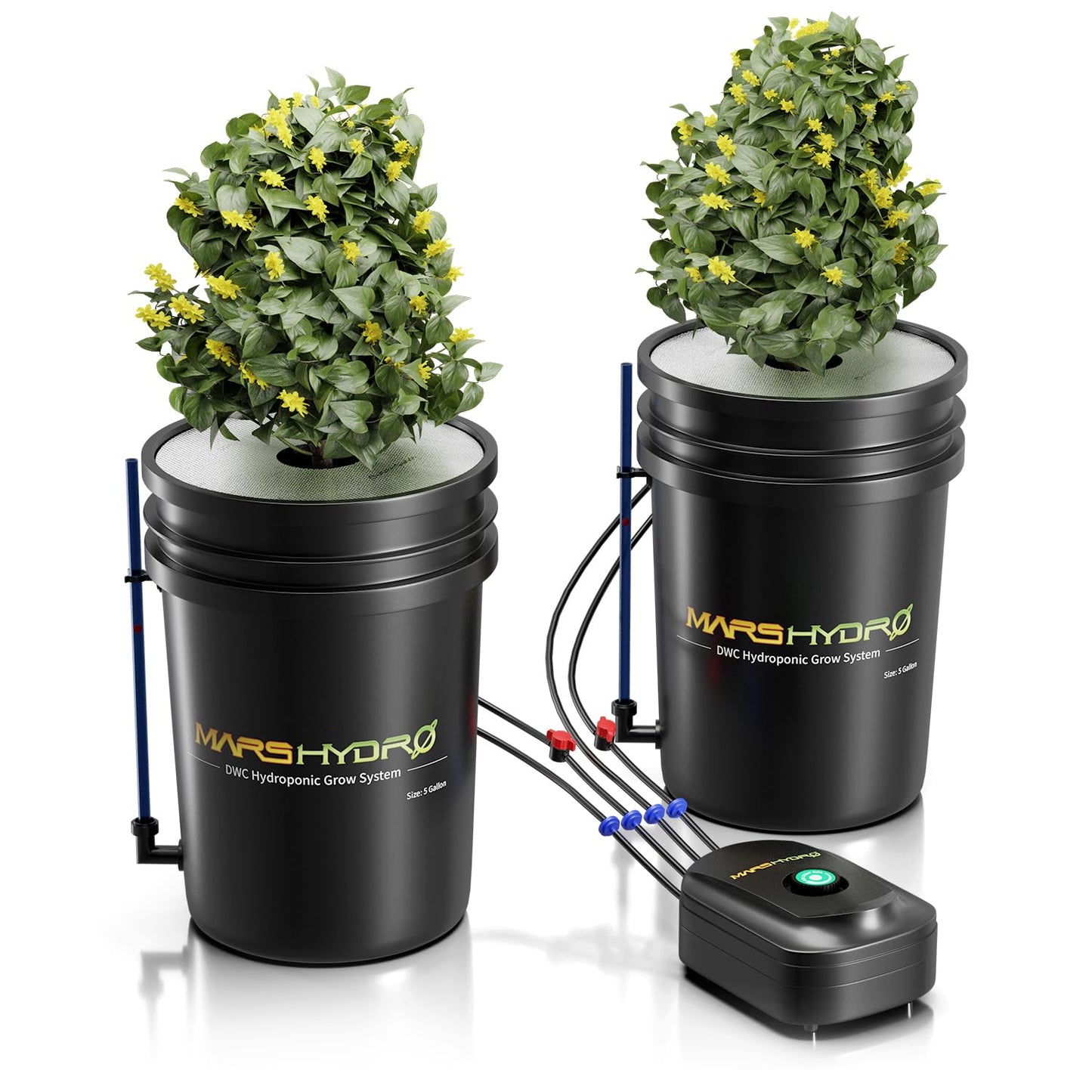 3x3 Smart Grow Tent Kit Complete System with DWC Hydroponics Grow System