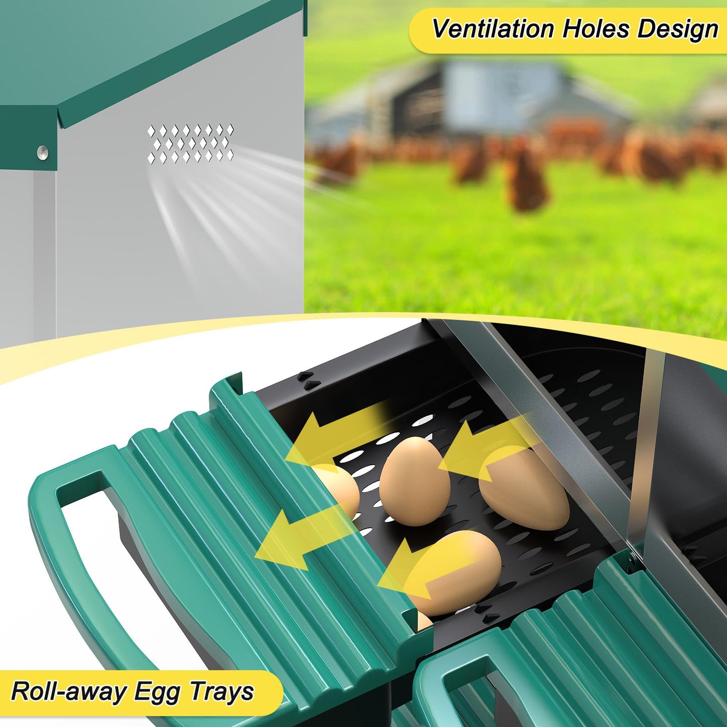 M METERXITY Chicken Nesting Box, 6 Compartments Metal Chicken Laying Boxes with Roll Out Egg Collection, Plastic Fake Eggs, Install Accessories and Gloves for Hens/Goose/Duck/Rabbit, Green