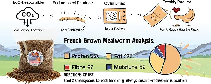 Chubby Dried Mealworms 8 Lbs - Grown in The EU - Non-GMO Mealworms for Chicken & Birds - Chicken Feed Treats for Laying Hens (8 Lb)