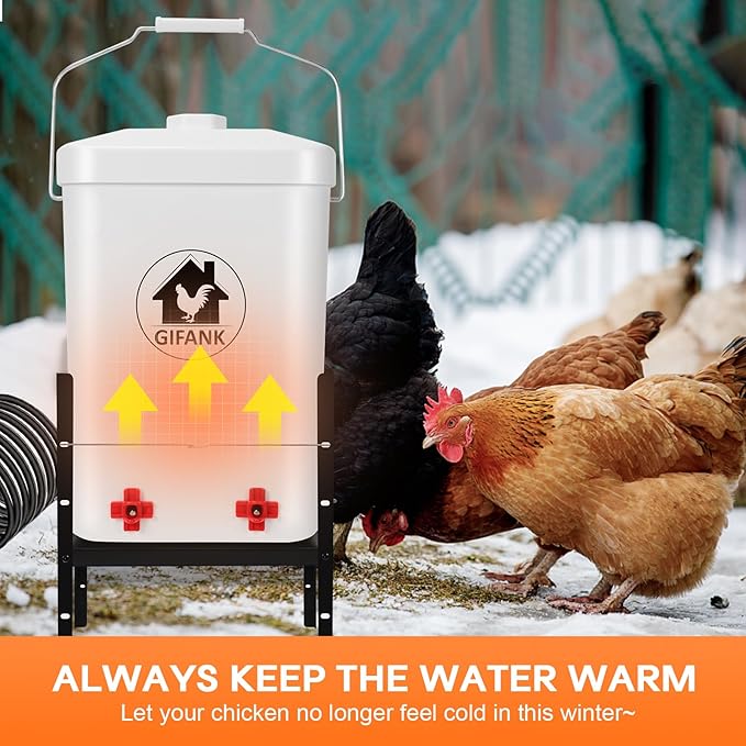 3 Gallon Heated Chicken Waterer for Winter Automatic Heated Chicken Waterer Adsjustable Height Poultry Drinker Heater Anti-Freezing Watering System for Chicken Coop Accessories