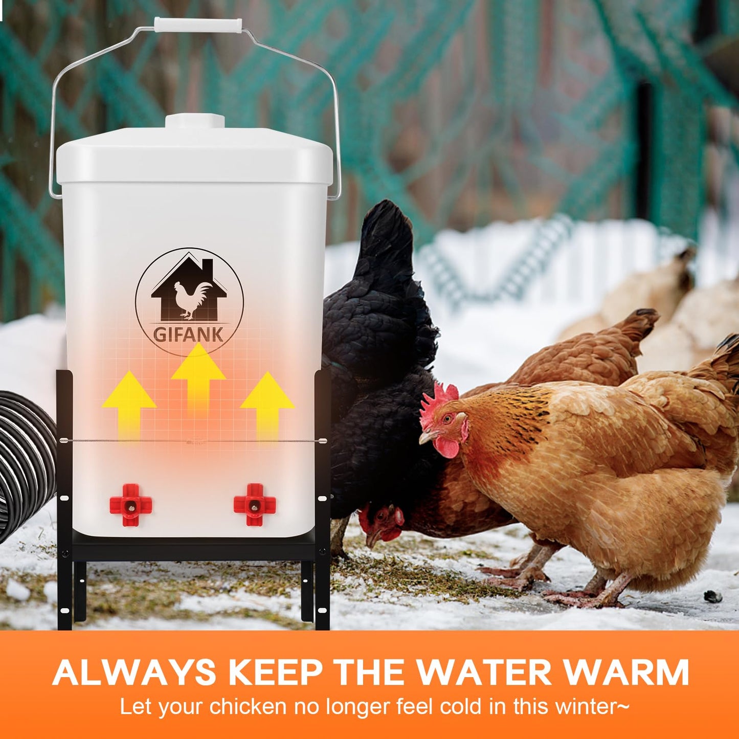 3 Gallon Heated Chicken Waterer for Winter Automatic Heated Chicken Waterer Adsjustable Height Poultry Drinker Heater Anti-Freezing Watering System for Chicken Coop Accessories