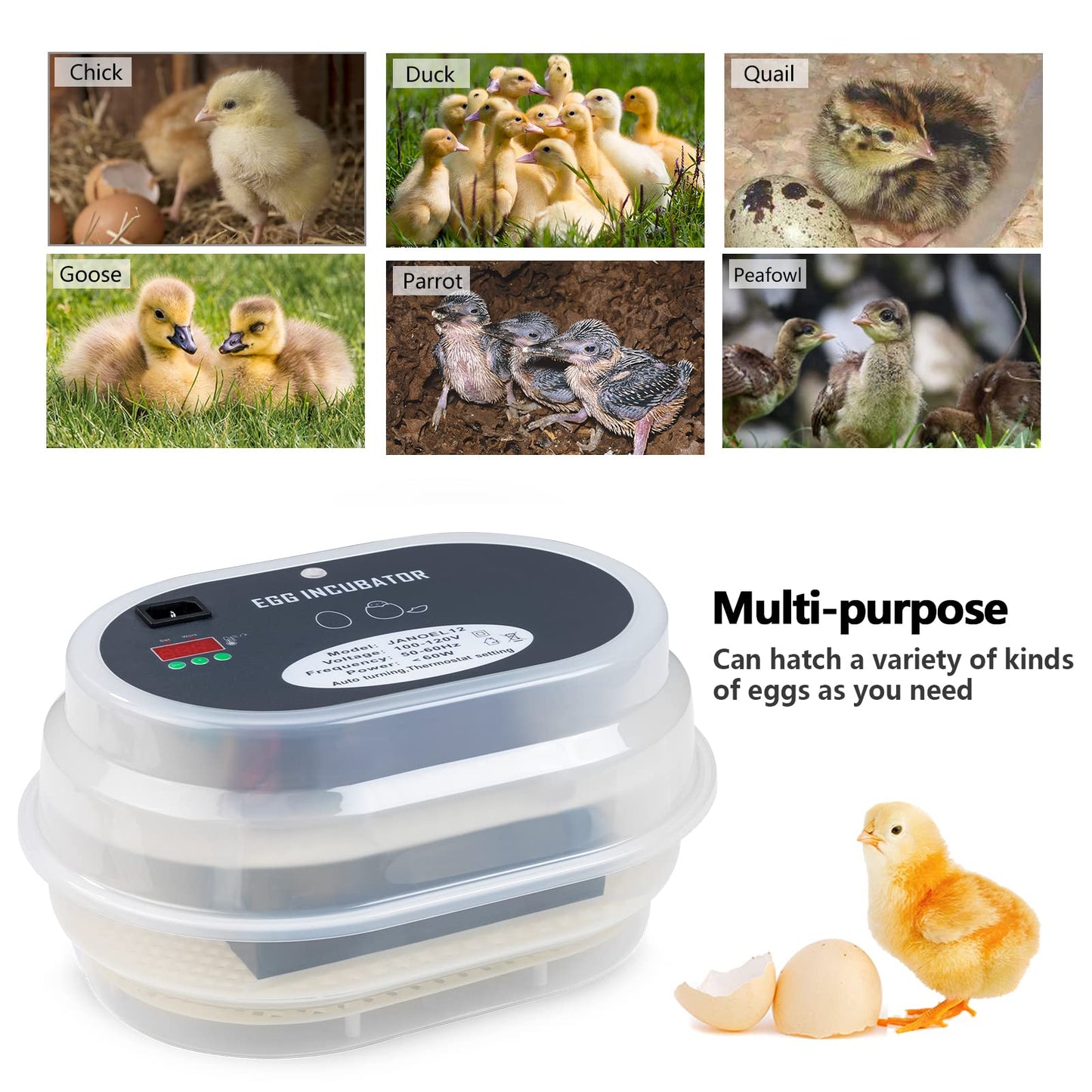 HBlife Digital Egg Incubator for Hatching 9-12 Chicken, Quail and Duck Eggs, with Fully Automatic Egg Turning and Temperature Display, Hatcher for Turkeys, Birds, Parrots and Poultry