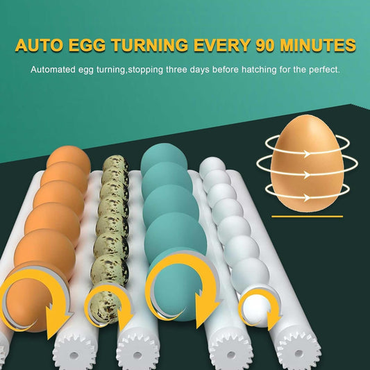 Choies 36 Egg Incubator for Hatching Eggs with Automatic Egg Turning and Humidity Control,Automatic Water Adding,360° View Incubators for Chicken Eggs,Quail,Ducks, Goose, Pigeon,Parrot Eggs