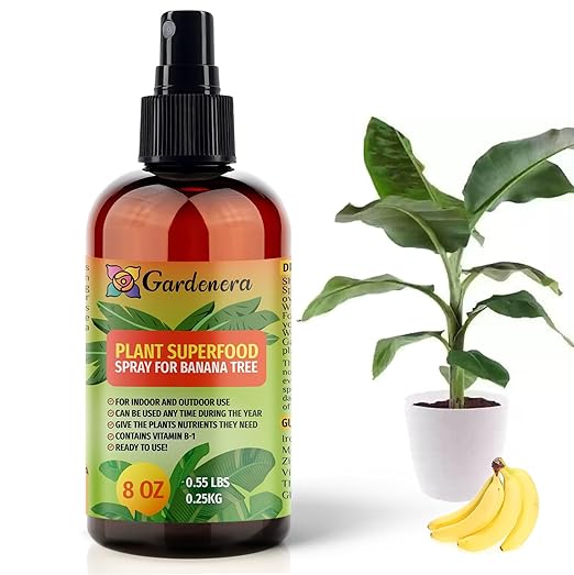 𝐁𝐄𝐒𝐓𝐒𝐄𝐋𝐋𝐄𝐑 Plant Superfood Spray for Banana Trees with B1 Vitamin, Glucose and Essential Minerals - Organic Plant Food Fertilizer Mist for Indoor & Outdoor Banana Plant Care - 8oz