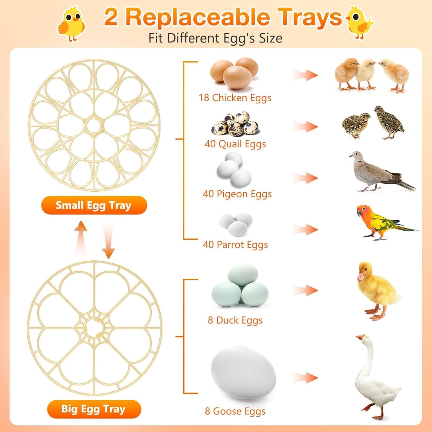 Egg Incubator with Automatic Egg Turning and Humidity Control, 18 Eggs Incubators for Hatching Eggs Chicken Quail Ducks Goose Parrot for Home Lab Farm Classroom