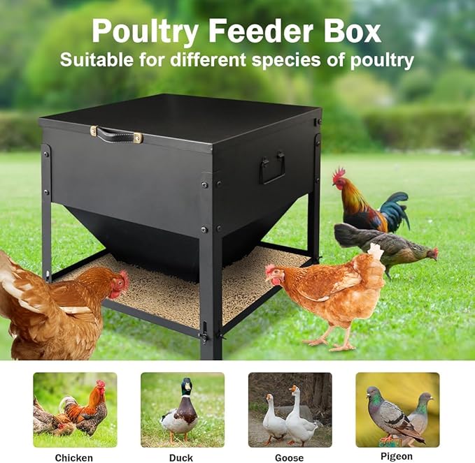 Metal Chicken Feeder No Waste, 60LBS Large Capacity Poultry Feeder, Adjustable Galvanized Steel Chicken Coop Feeder with Lid and Handle