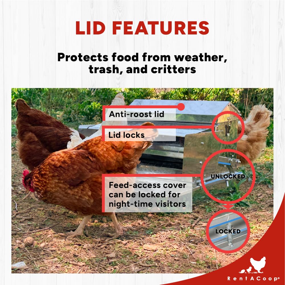 RentACoop Automatic Metal Treadle Feeder - Outdoor Use, Rainproof - Suitable for Chicken, Bantams, Poultry, Pheasants, etc. - 25lb Capacity