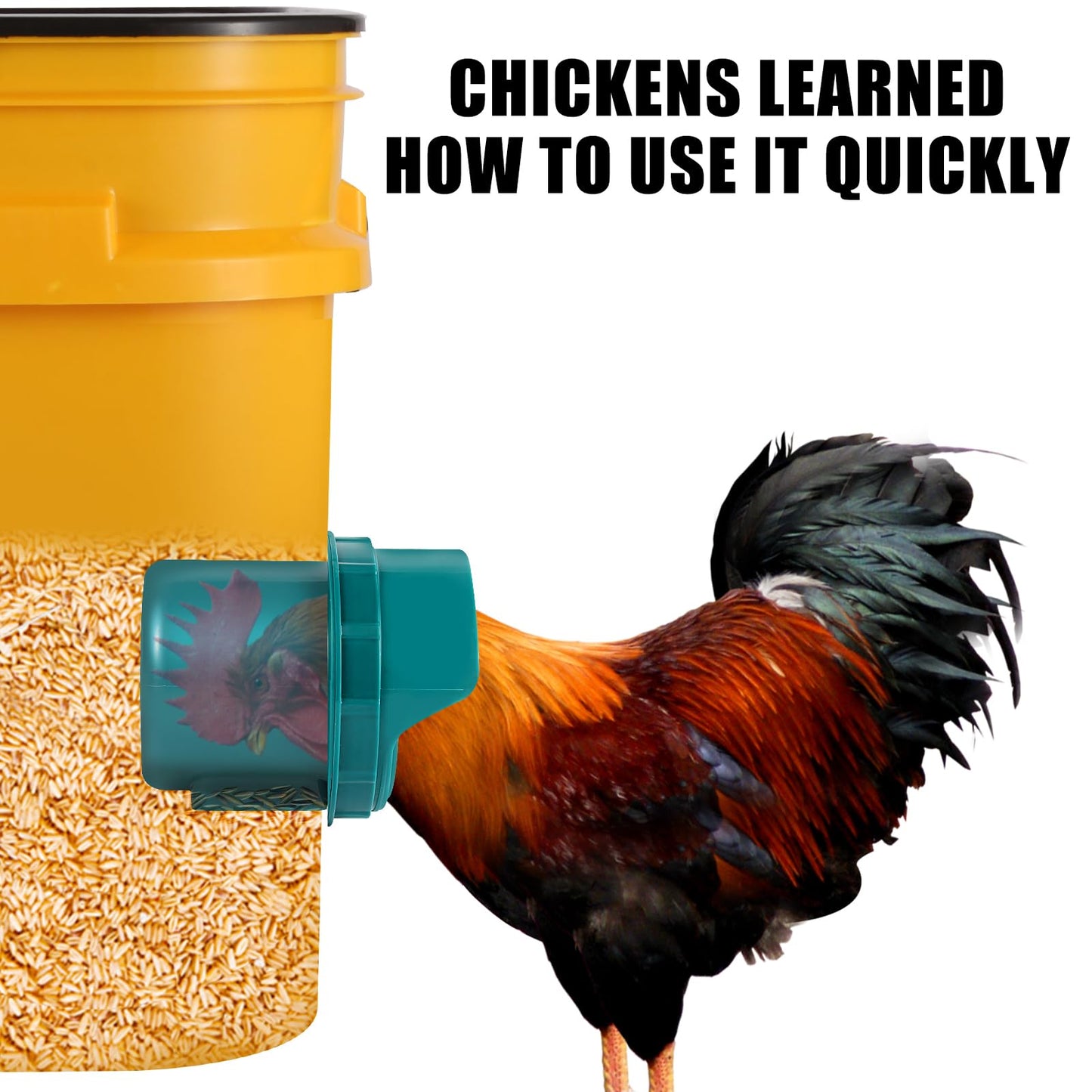 No Waste Chicken Feeder Port Large, DIY Automatic Poultry Feeder Kit for Chicken, Quail, Duck, Goose, Turkey (Pack of 6)