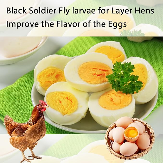 Dried Black Soldier Fly Larvae 20LB-Pure Natural Non-GMO BSF Larvae for Chickens-More Calcium Than Mealworms High-Protein Chickens Treats for Layer Hens Wild Birds Ducks