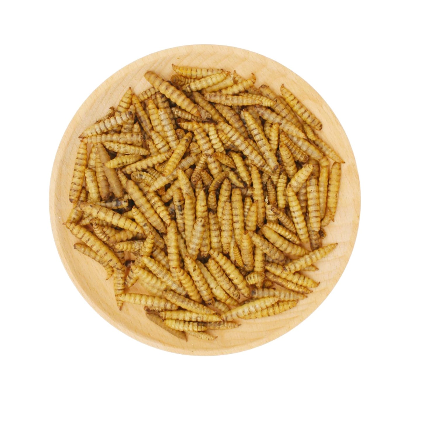 GRUBSFARM Premium Chicken Treats 2LB - Non-GMO & 85X More Calcium Than Meal Worms - Molting & Laying Supplement - BSF Larvae Treats for Layer Hens, Ducks Wild Birds