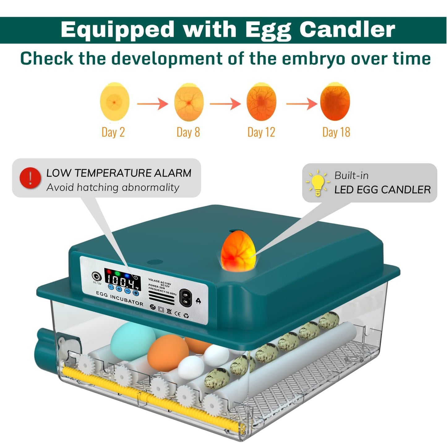 Hethya Egg Incubator, Egg Incubator with Automatic Egg Turning and Automatic Water Addition, 12-16 Eggs Incubator with Egg Candler, Incubator for Chicken Eggs Duck Eggs Quail Eggs