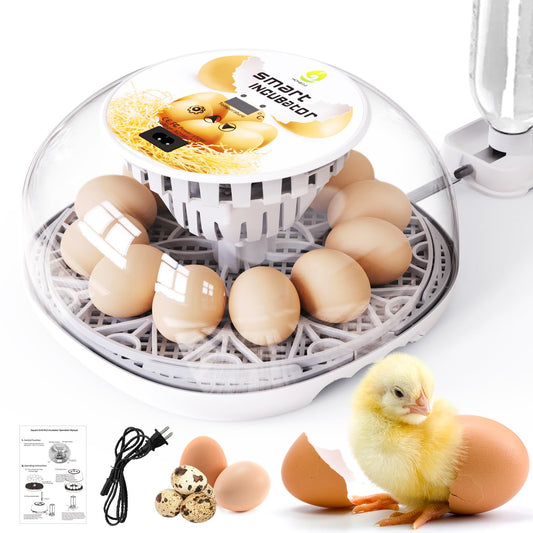 Incubators for Hatching Eggs Quail Egg Incubator 12 Eggs with Automatic Egg Turning and Humidity Control 360° Viewing for Chicken, Ducks, Goose, Pigeon for Lab Farm and Home