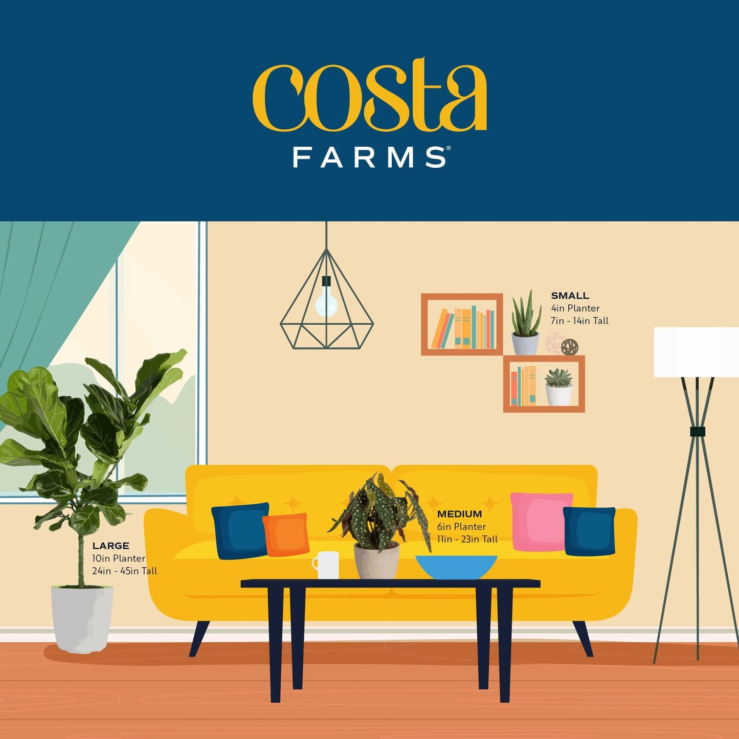 Costa Farms Succulents (24 Pack), Live Mini Succulent Plants in Ceramic Decor Planter Pots, Indoor Houseplants in Potting Soil, Bulk Baby Shower Gifts, Party Favors, Bridesmaid Gifts, 2-Inches Tall