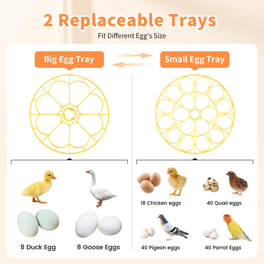 GOORY 18 Egg Incubator with Automatic Temperature & Humidity Control - 360° Observation Window, Digital Display, Auto-Turning - High Hatch Rate for Chicken Ducks Quail Birds