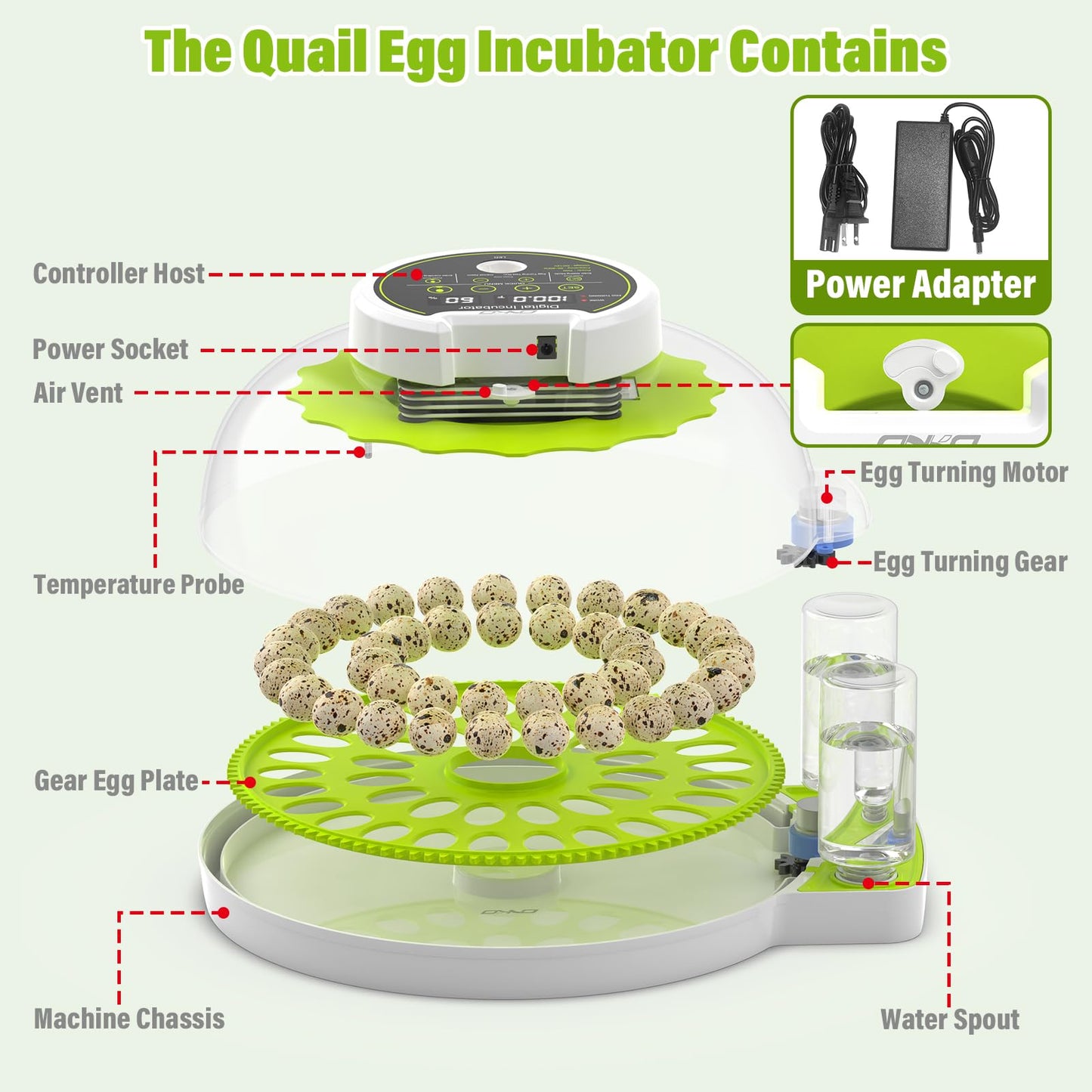 Quail Egg Incubator for Hatching Eggs with Automatic Egg Turning and Humidity Control 40 Eggs Large Capacity Quail Brooder Poultry Incubators, Also for Parrot, Dove, Canary and Other Birds