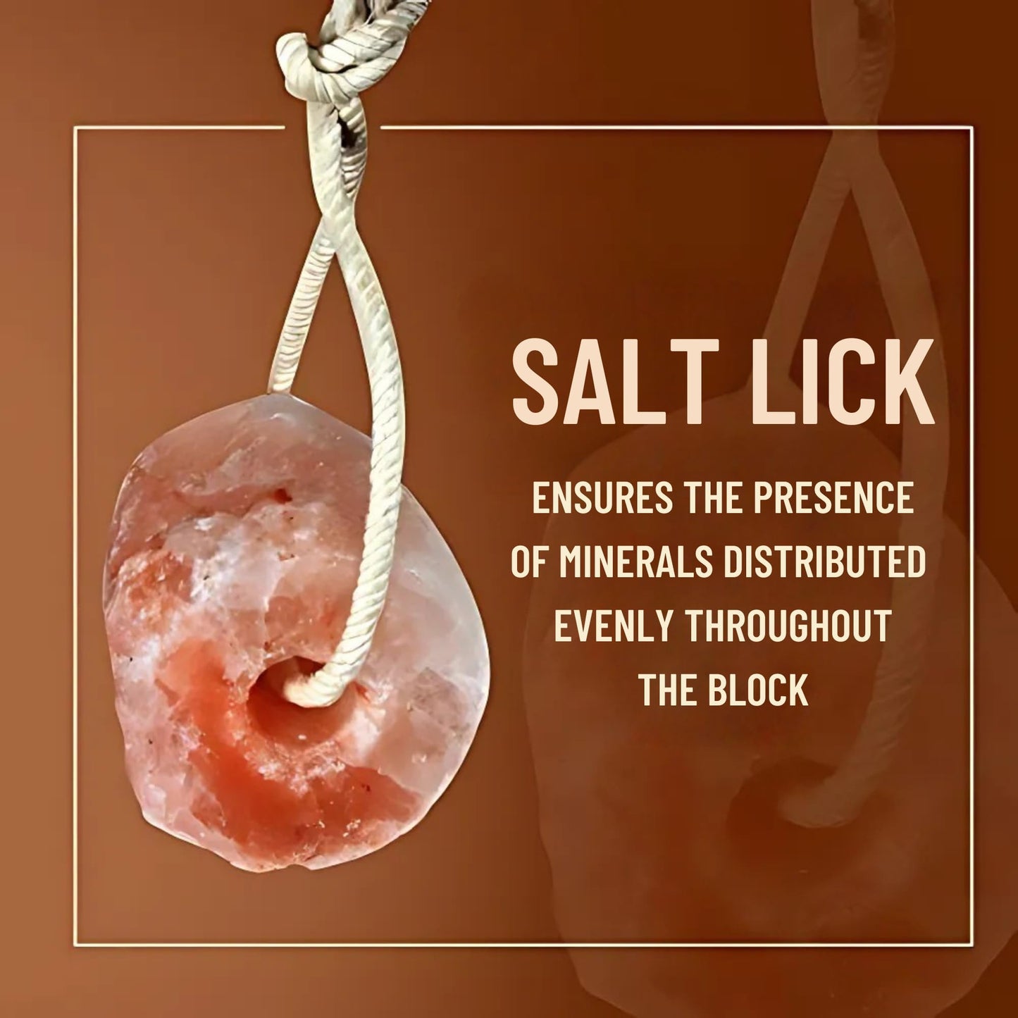 Pink Salt wall 5–6 lbs Salt Lick for Deer Natural Mineral Block for Deer and Wildlife (Salt Lick 1)