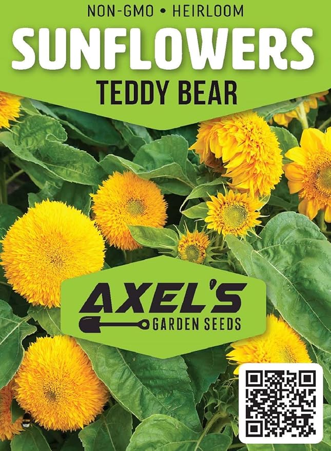 Dwarf Sunflower Seeds for Planting - Grow Teddy Bear Sun Flowers in Your Garden - 25 Non GMO Heirloom Seeds - Full Planting Instructions for Easy Grow - Great Gardening Gifts (5 Packets)