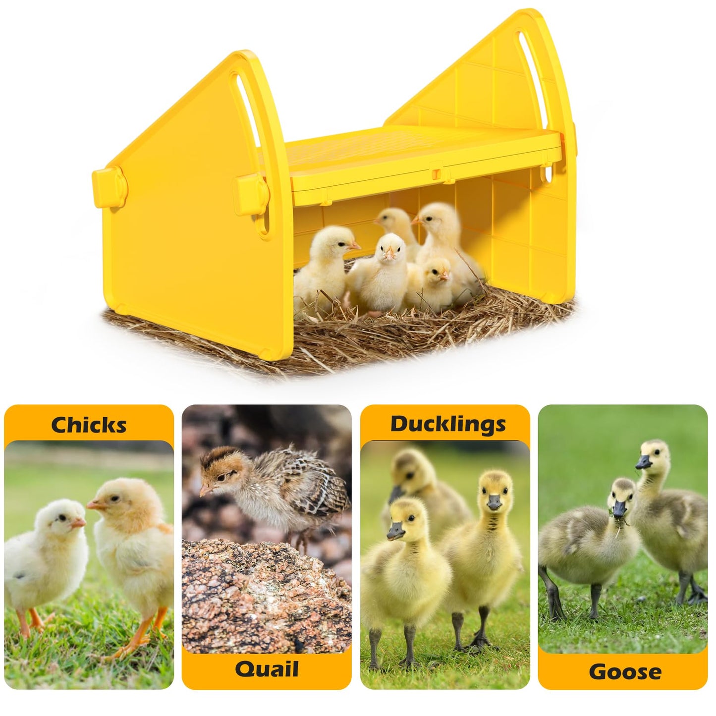 Heating Brooder Plate for Chicks Ducklings, Adjustable Brooder House for Keeping Poultry Warm(Yellow, M)