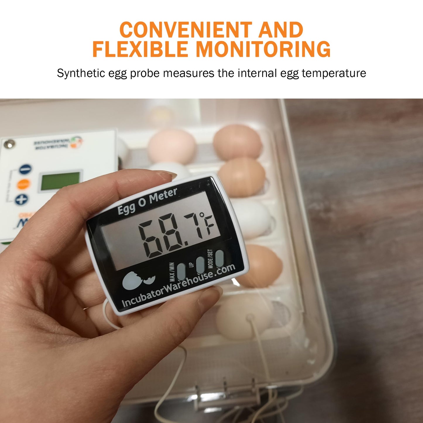 Incubator Warehouse Egg-O-Meter - Large Digital Display Egg Thermometer with Min/Max Memory - Reads Celsius and Fahrenheit +/-1